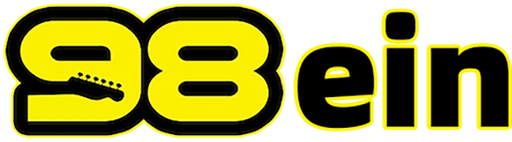 vn98ein Logo
